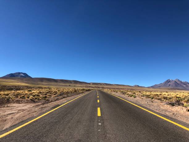 istock Atacama desert scene 1194689134
