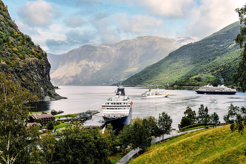 beautiful landscape of the fjords of norway in summer