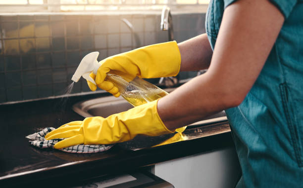 さよなら細菌と細菌 - cleaning domestic kitchen counter top housework ストックフォトと画像