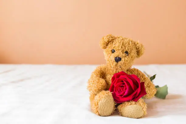 Photo of Cute brown teddy bear with red rose on the bed with space on orange wall background
