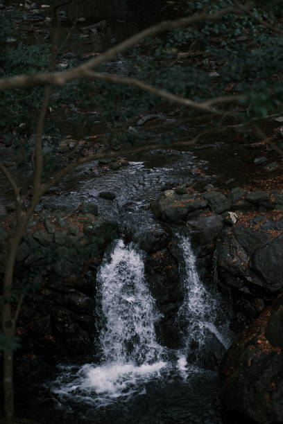 istock Water fall with Autumn leaf fall. Maple leaves. Nature background 1194695695