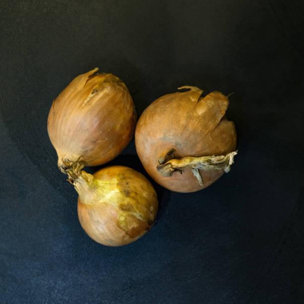 Three onions stock photo