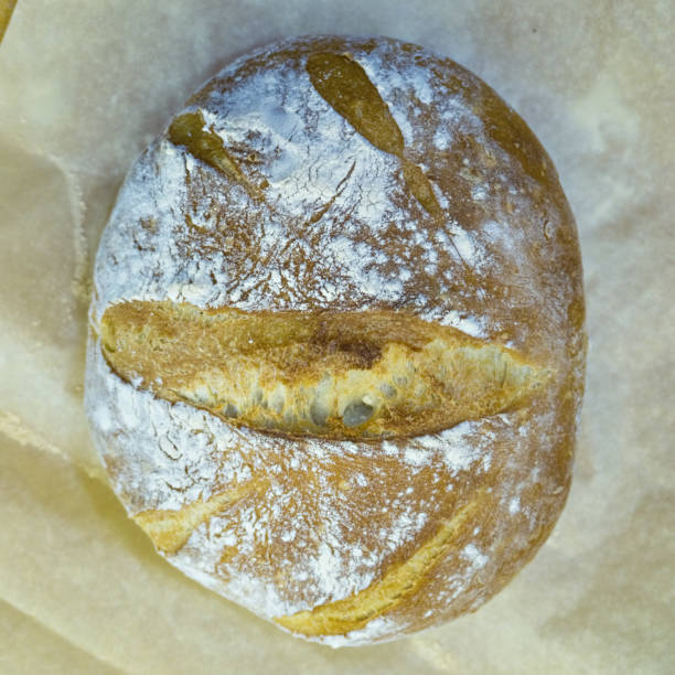 Fresh bread stock photo