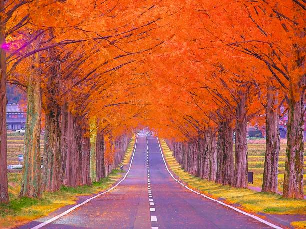 istock Japanese landscape848autumn 1194696736