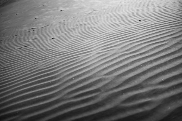 istock Sand Dunes of Rajasthan 1194696808
