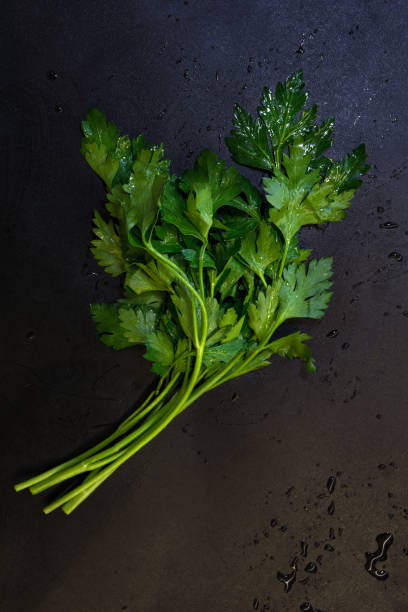 Parsley leaves stock photo