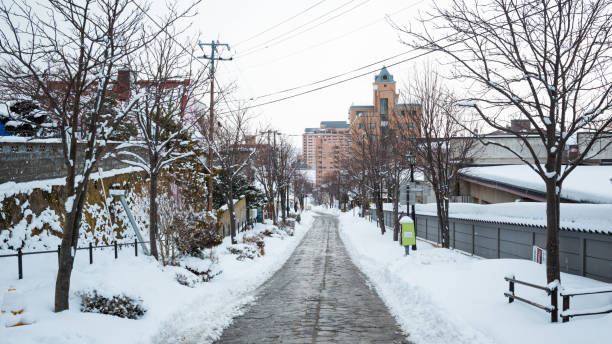 istock Winter Street scene in Hakodate 1194698002