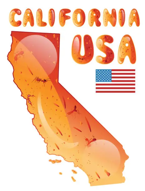 Vector illustration of California Map, Amper