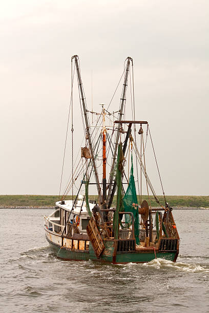 istock Fishing trawler on Pamlico Sound vertical 119470026