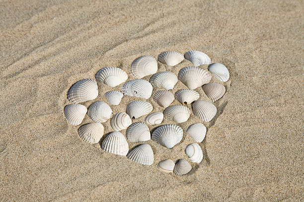 Symolic heart created of shells on the beach stock photo