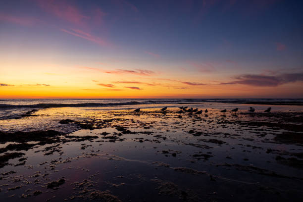 istock Beautiful Sunset Reflecting on Water 1194702108