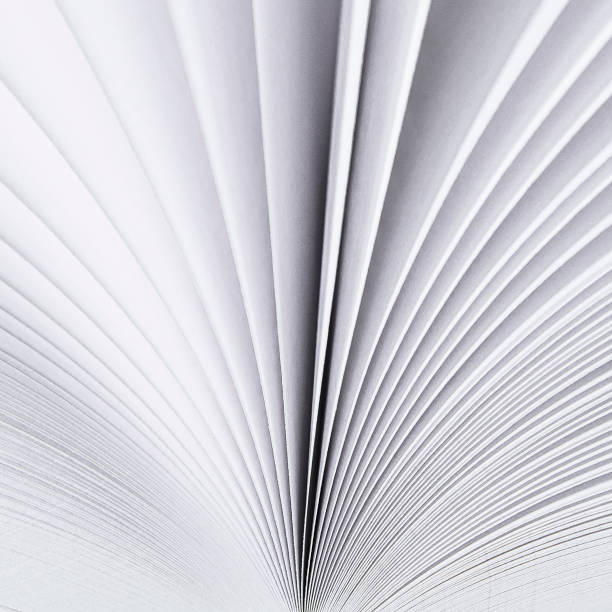 istock A light background from the white pages of a white open book 1194702273