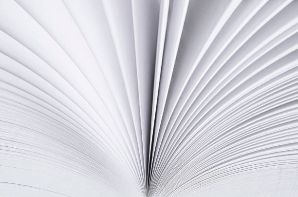 istock A light background from the white pages of a white open book 1194702274