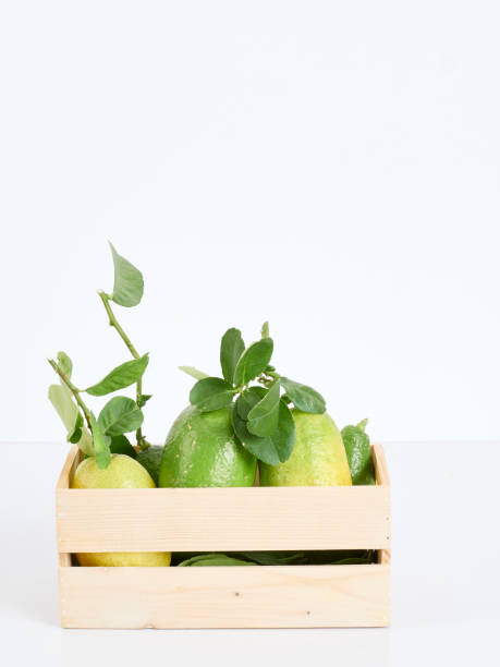 istock Lemons with green leaves in box on white background 1194703085