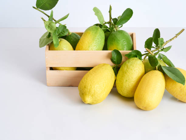 istock Lemons with green leaves in box on white background 1194703094