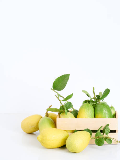 istock Lemons with green leaves in box on white background 1194703126