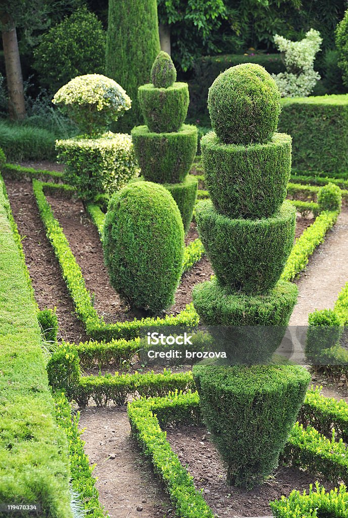 Decoração do green park e Jardim Botânico de Funchal, Madeira - Foto de stock de Buxo royalty-free