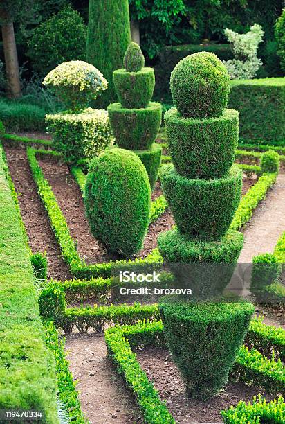 Foto de Decoração Do Green Park E Jardim Botânico De Funchal Madeira e mais fotos de stock de Buxo