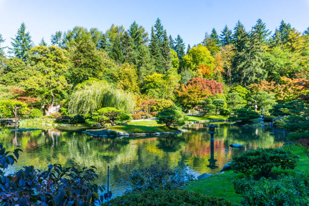 istock Seattle Garden In Autumn 9 1194704688