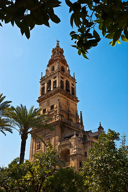 istock Cathedral of Cordoba 119470578
