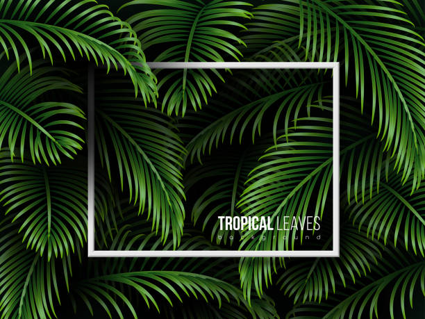 istock Tropical palm leaves background with copy space. Exotic dark green template for greetings, invitation, cosmetics or spa products, summer seasonal cards. Vector. 1194708327