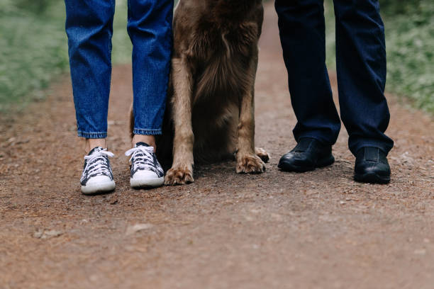 istock dog sitting between two owners legs, close up 1194708343