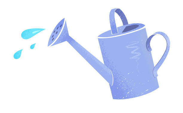 Watering Can Vector Illustration Stock Illustration - Download Image Now - Watering  Can, Water, Illustration - iStock