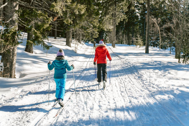 sisters in snowy winter landscape on cross-country-ski - czech republic ski winter skiing imagens e fotografias de stock