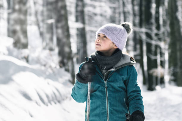 istock in the beautiful snowy winter forest 1194711481