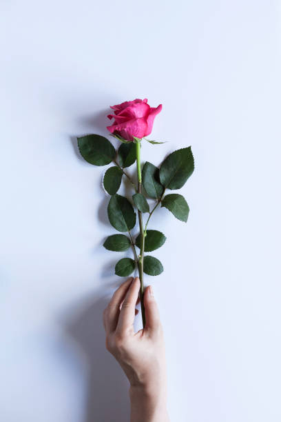 istock Abstract Flower Closeup 1194715116