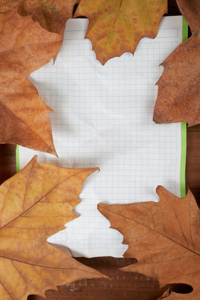 istock Writing sheet surrounded by autumnal leaves 1194715441