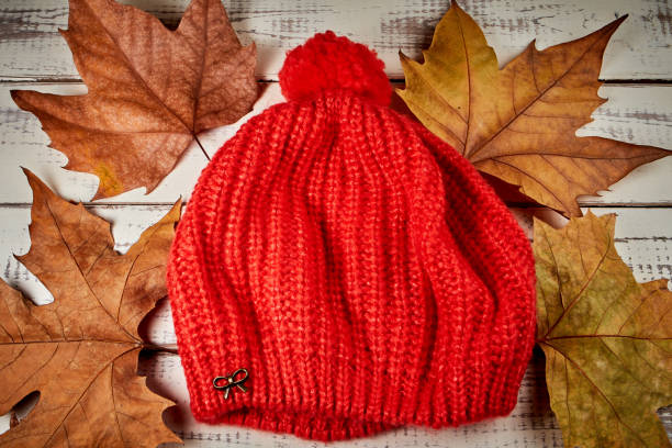 istock red cap with autumn and winter leaves 1194716645