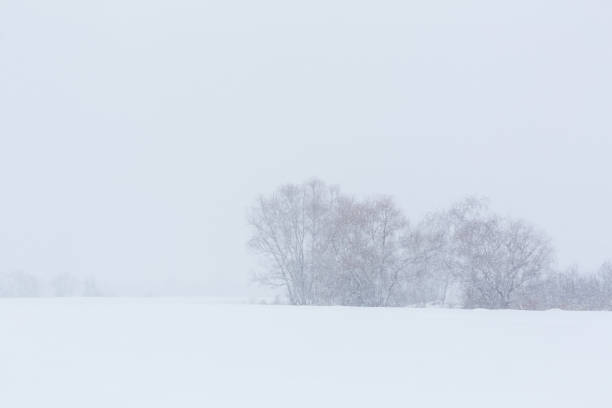 istock Winter landscape. Trees without foliage in a field covered with snow 1194722099