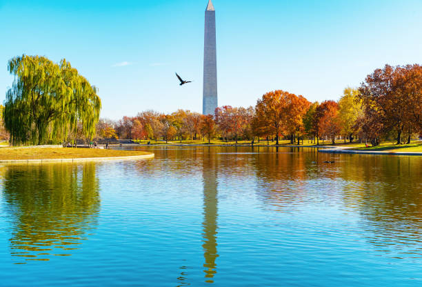istock Washington Monument from Constitution Gardens in Autumn 1194722311