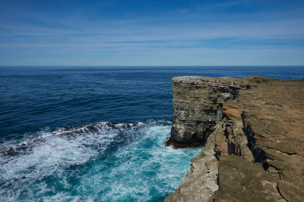 istock Coast of Sea Lion Island 1194725321