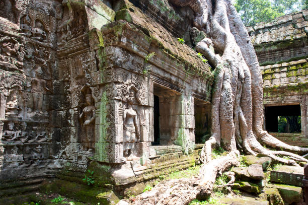 istock Ta Prohm tangles, Angkor Wat temple complex, Siem Reap, Cambodia 1194728323