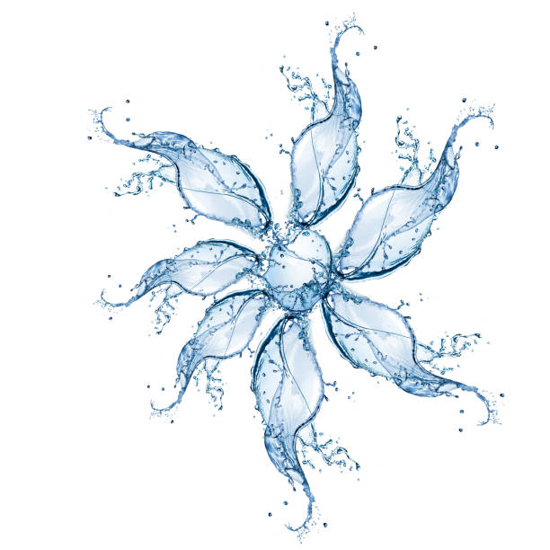 istock Water splashing flower form 1194729680