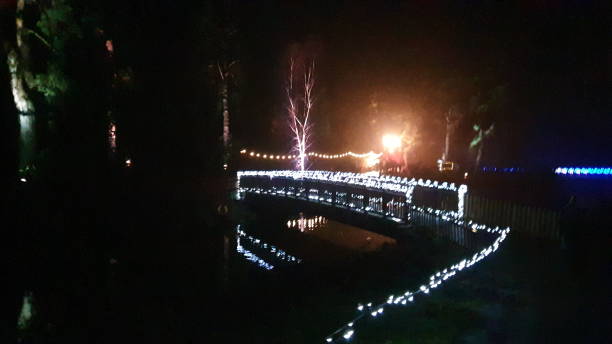 istock Christmas Lights at Bedgebury 1194730582