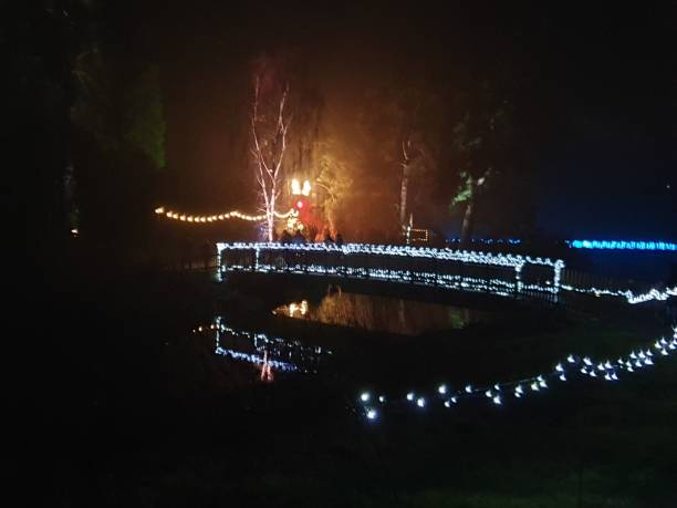 istock Christmas Lights at Bedgebury 1194730764