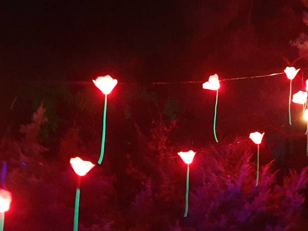 istock Christmas Lights at Bedgebury 1194730853