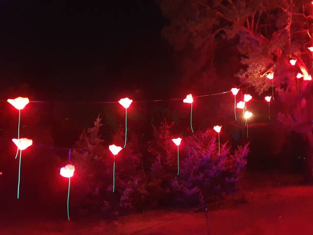 istock Christmas Lights at Bedgebury 1194730950