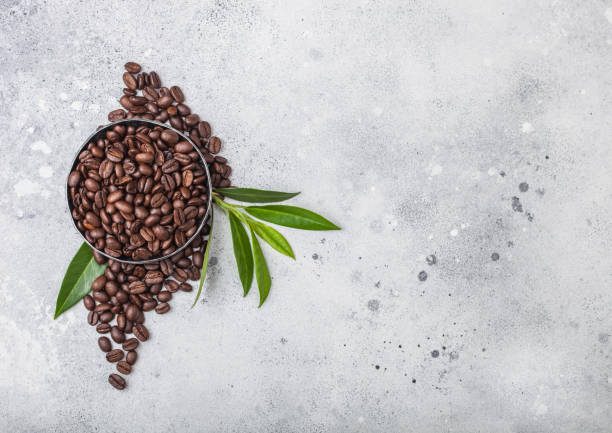 istock Fresh raw organic coffee beans with coffee trea leaf on light kitchen table background. 1194731438