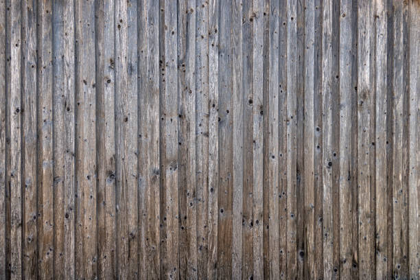 Section of a plain gray wooden fence.