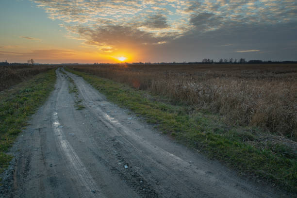 istock Dirt road, tall grasses and sunset, evening clouds, 1194734869