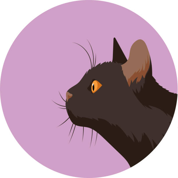 Profile Portrait Of A Black Cat Stock Illustration - Download Image Now -  Domestic Cat, Profile View, Head - iStock