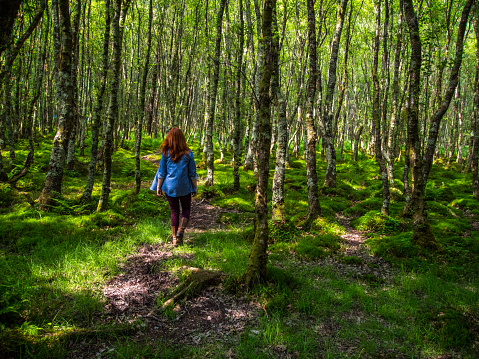 A young woman with red hair and a blue shirt walks away from the camera through a lush green Irish forest.