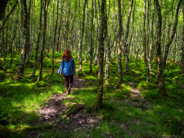 Woman Walks Through the Woods A young woman with red hair and a blue shirt walks away from the camera through a lush green Irish forest. forest floor photos stock pictures, royalty-free photos & images