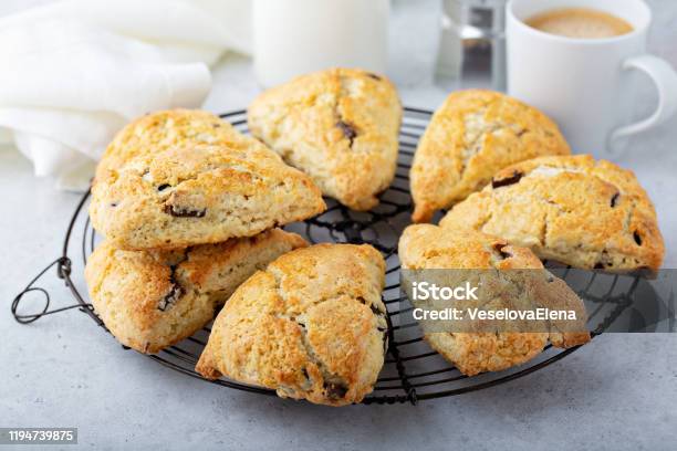 Homemade Chocolate Chip Scones Stock Photo - Download Image Now - Scone, Biscuit - Quick Bread, Chocolate Chip