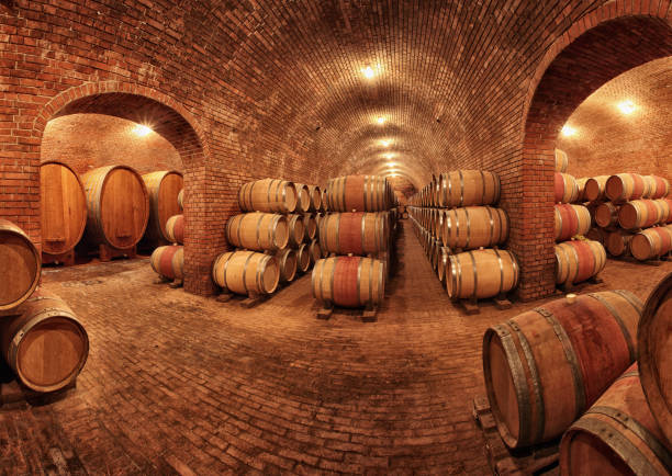 wine cellars, Petrov - Plze, Czech Republic