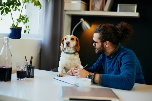 istock Attractive bearded caucasian freelancer sitting in his modern office, working on important project and looking at his pet. 1194740989